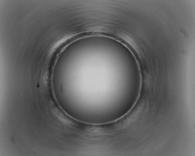 X0000114410971200910161203