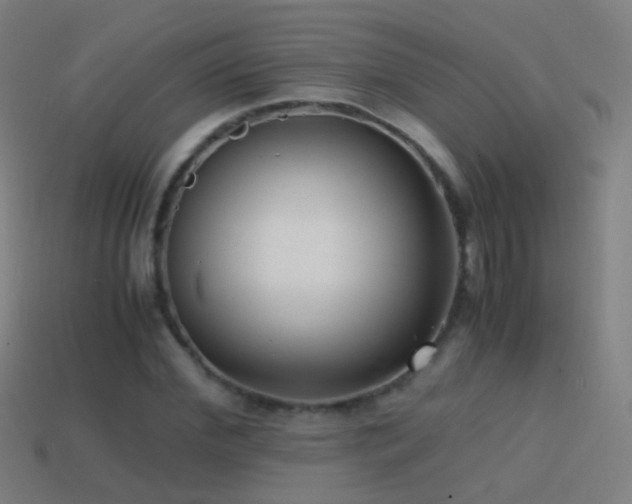 X0000114410972200910161203