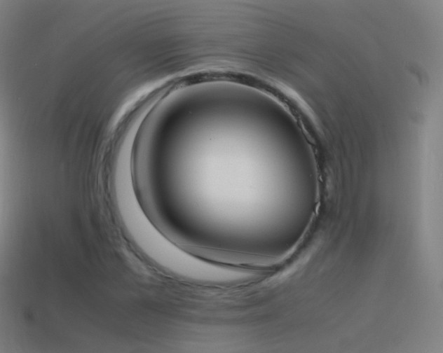X0000114410973200910161203