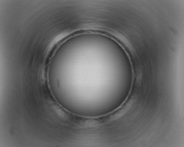 X0000114410974200910161203