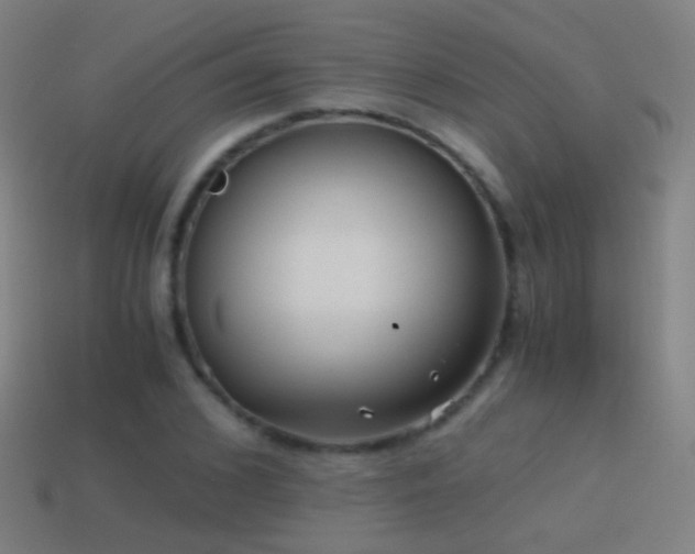 X0000114410976200910161203