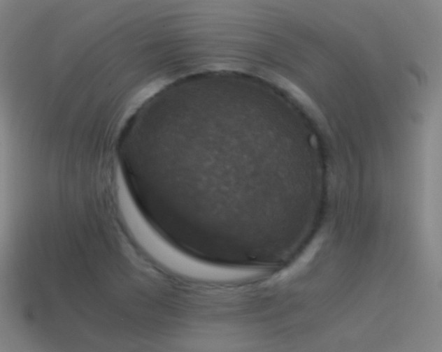 X0000114410977200910161203