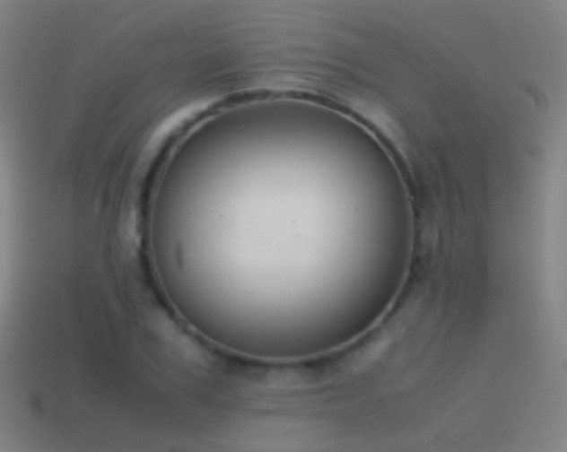 X0000114410979200910161203