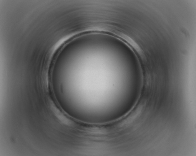 X0000114410980200910161203