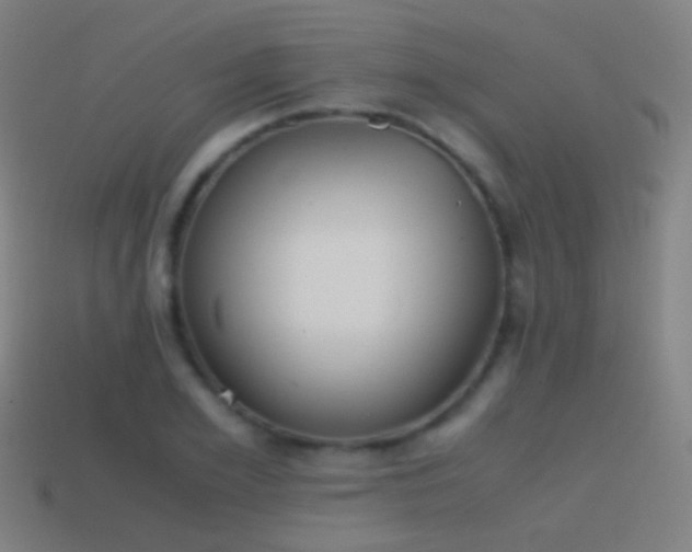 X0000114410981200910161203