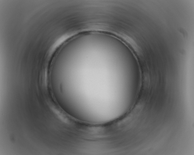 X0000114410982200910161203