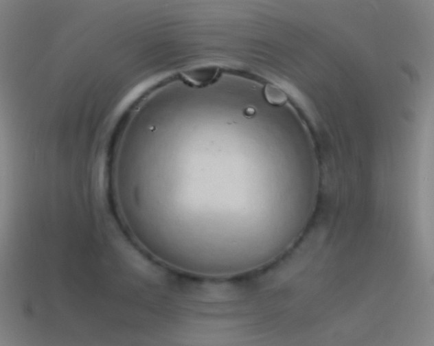 X0000114410983200910161203