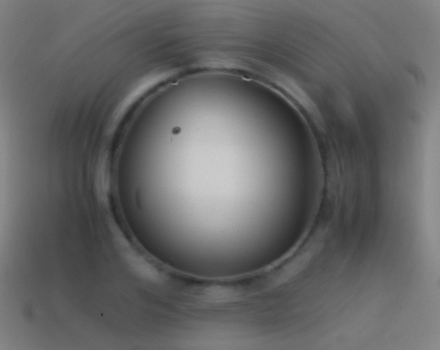 X0000114410984200910161203