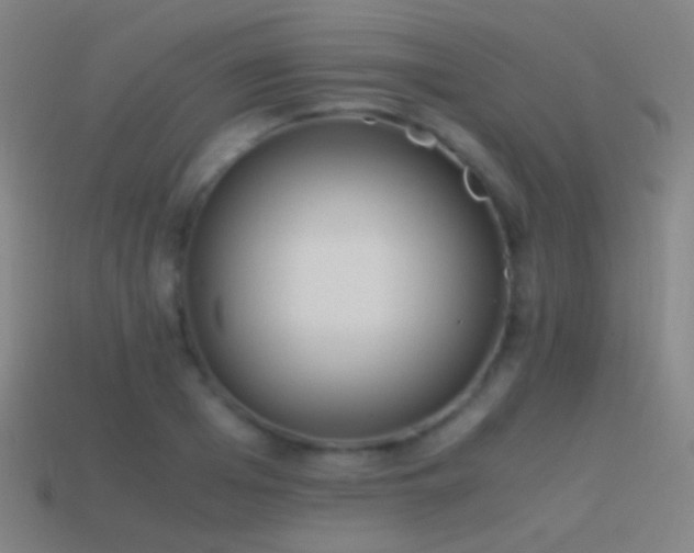 X0000114410985200910161203