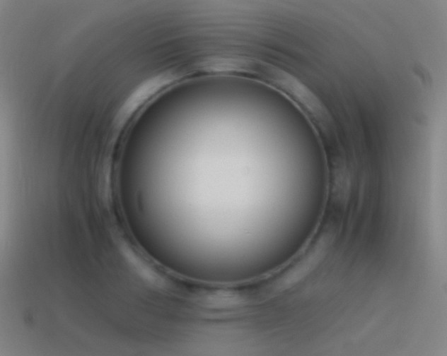 X0000114410986200910161203