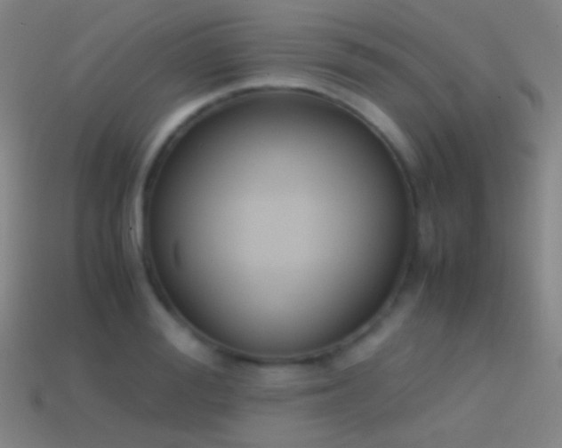 X0000114410988200910161203