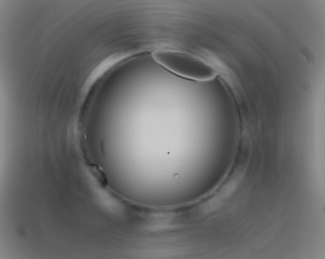 X0000114410989200910161203