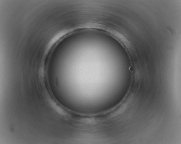 X0000114410990200910161202