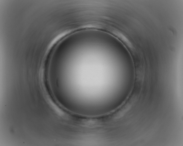 X0000114410991200910161202