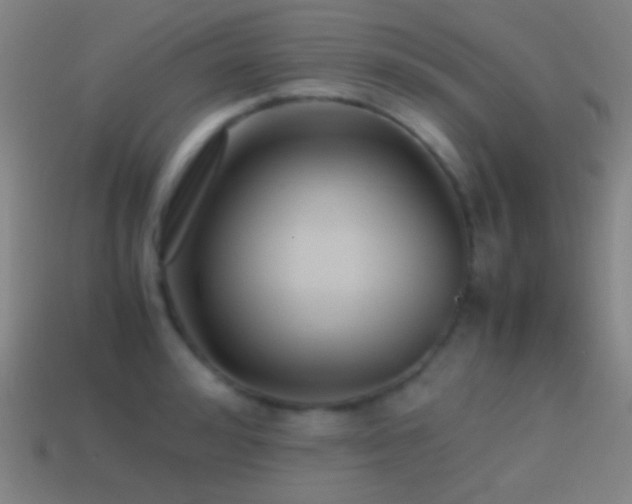 X0000114410992200910161202