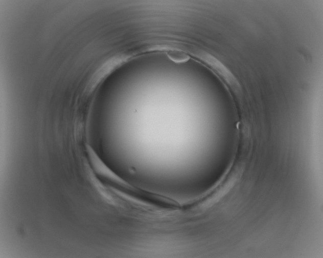 X0000114410993200910161202