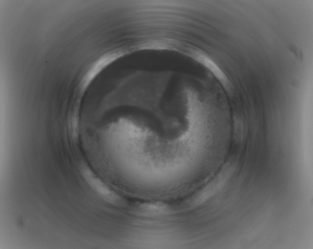 X0000114410994200910161202