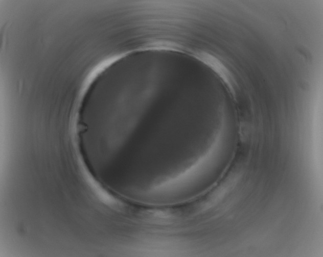 X0000114410995200910161202