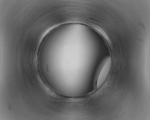 X0000114410996200910161202