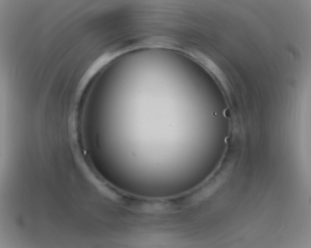 X0000114410997200910161202