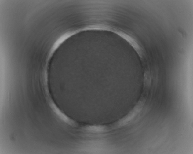 X0000114410998200910161202