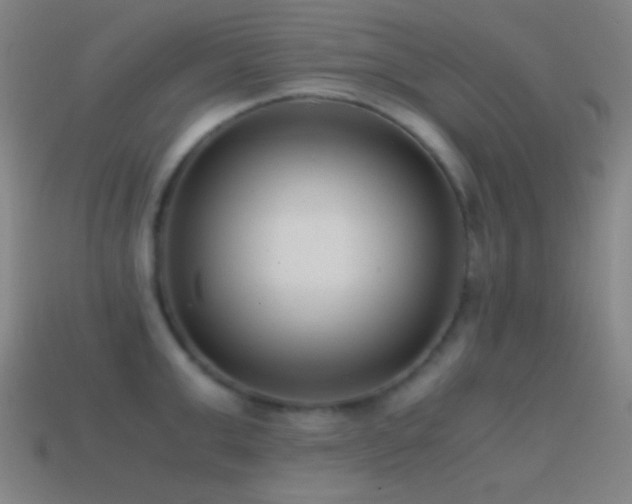X0000114410999200910161202
