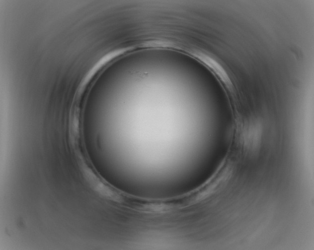 X0000114411000200910161202