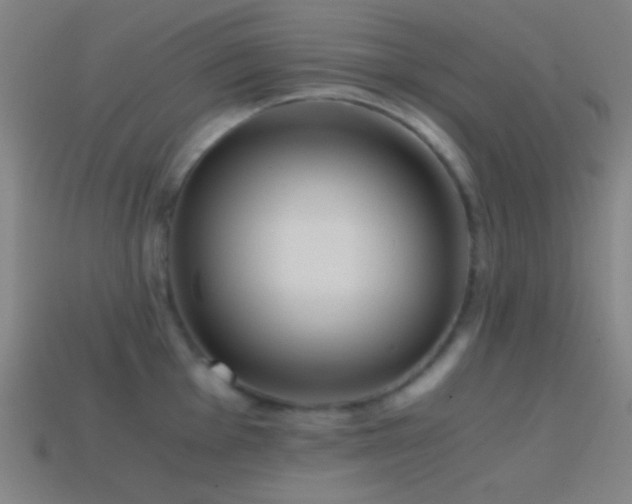 X0000114411001200910161202