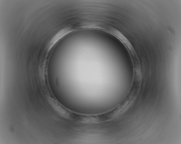 X0000114411002200910161202