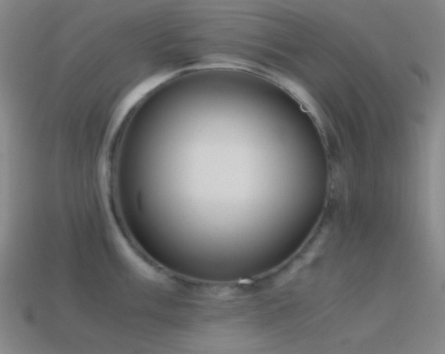 X0000114411003200910161202