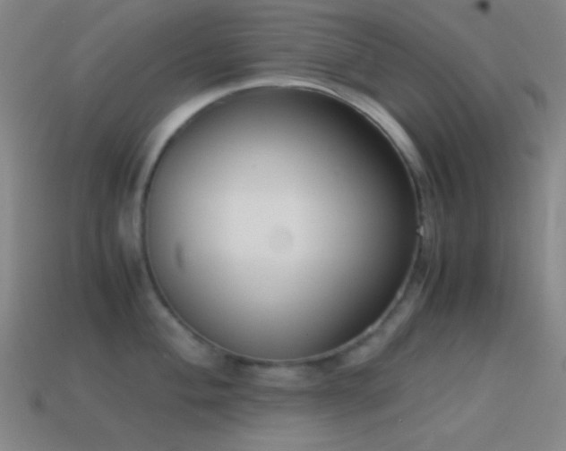 X0000114411004200910161202