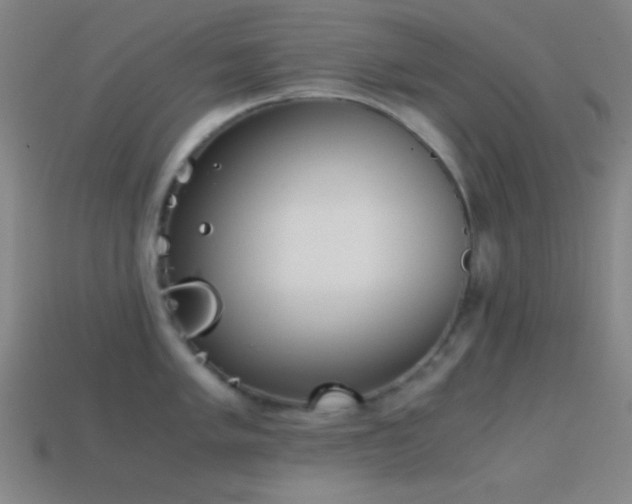 X0000114411005200910161202