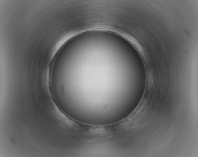X0000114411006200910161202