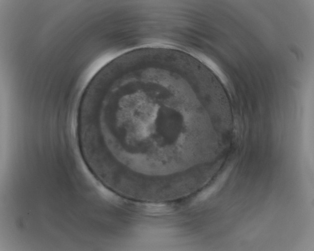 X0000114411007200910161202