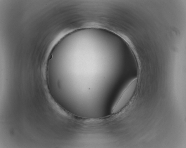 X0000114411008200910161202