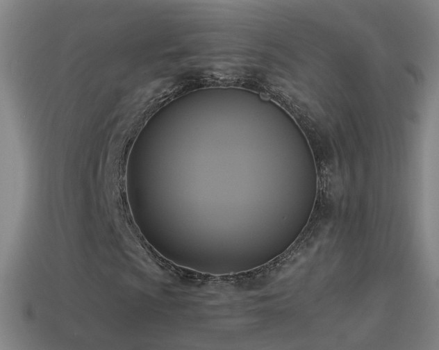 X0000114411009200910161201