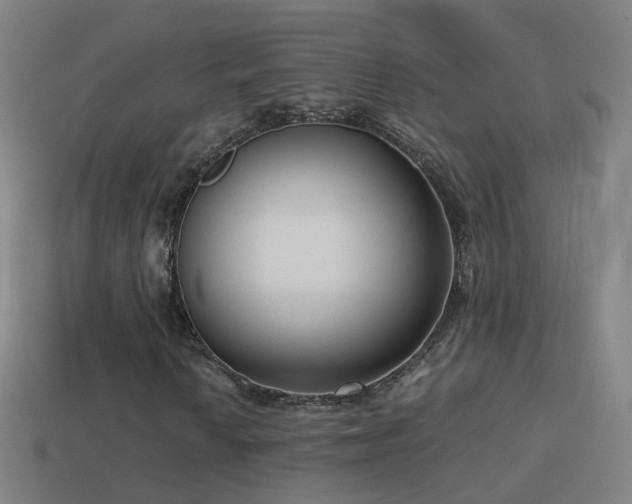 X0000114411010200910161201