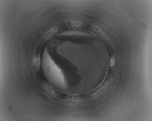 X0000114411011200910161201