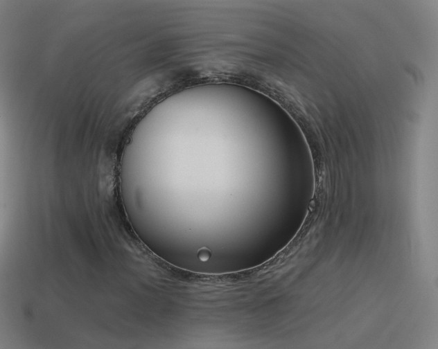 X0000114411012200910161201