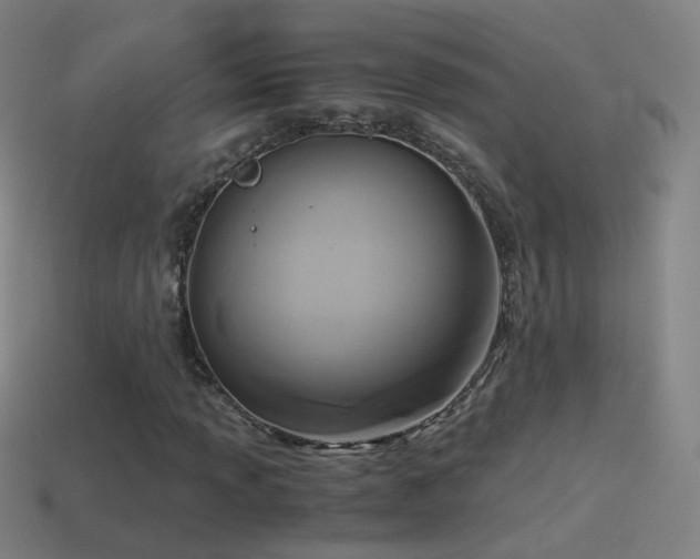 X0000114411013200910161201