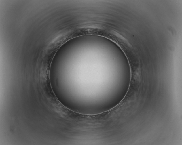 X0000114411014200910161201