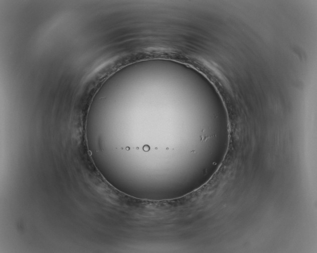 X0000114411015200910161201