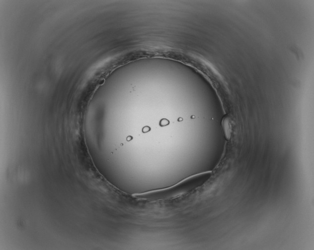 X0000114411016200910161201