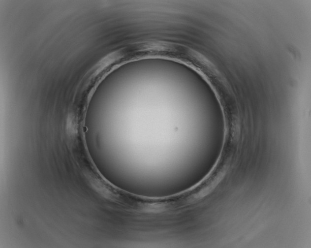 X0000114411017200910161201
