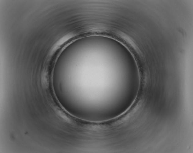 X0000114411018200910161201