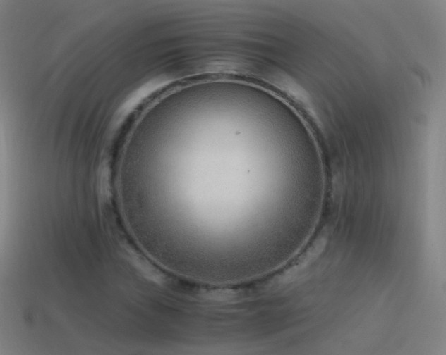 X0000114411019200910161201