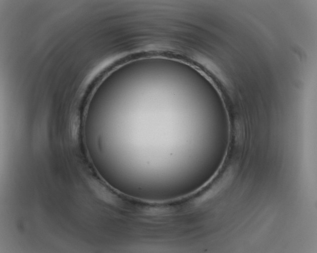 X0000114411021200910161201