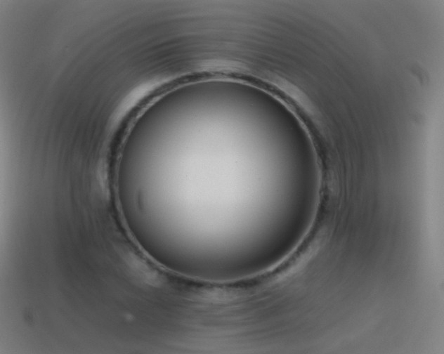 X0000114411022200910161201