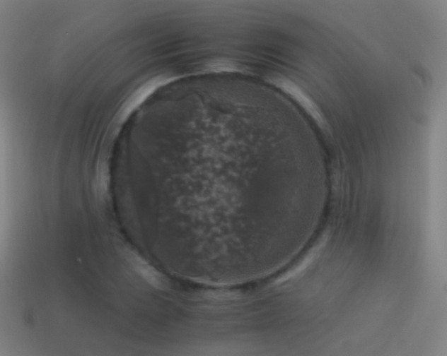 X0000114411023200910161201