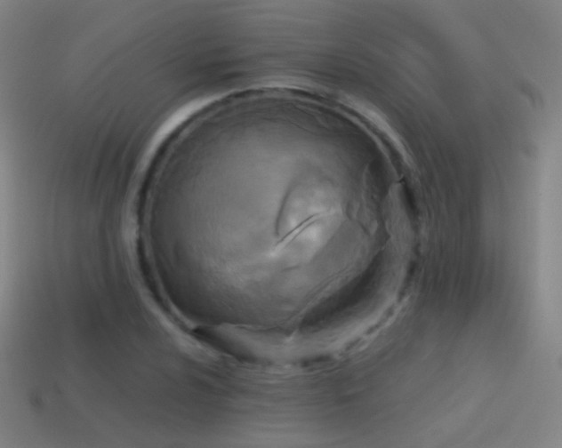 X0000114411024200910161201